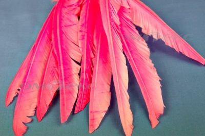 Декоративный Пучок из перьев, перо 25см/розовый - купить в Волжском. Цена: 14.40 руб.