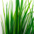 Трава искусственная -2, шт (осока 41см/8 см)				 - купить в Волжском. Цена: 104.57 руб.