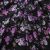 Плательная ткань "Фламенко" 20.1, 80 гр/м2, шир.150 см, принт растительный - купить в Волжском. Цена 241.49 руб.