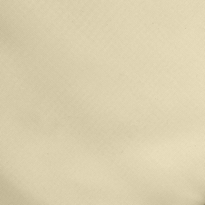 Ткань подкладочная Таффета 14-1014, антист., 53 гр/м2, шир.150см, цвет бежевый - купить в Волжском. Цена 62.37 руб.
