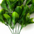 Трава искусственная -1, шт (эвкалипт лист 32 см/8 см)				 - купить в Волжском. Цена: 169.93 руб.