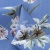 Плательная ткань "Фламенко" 12.1, 80 гр/м2, шир.150 см, принт растительный - купить в Волжском. Цена 243.96 руб.