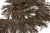 008-коричневый, Бахрома арт.001 шир.10см (упак.12+/-0,5м) - купить в Волжском. Цена: 1 017.33 руб.