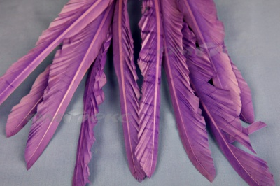 Декоративный Пучок из перьев, перо 25см/фиолетовый - купить в Волжском. Цена: 12.19 руб.