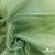 Ткань органза, 100% полиэстр, 28г/м2, шир. 150 см, цв. #27 зеленый - купить в Волжском. Цена 86.24 руб.
