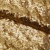 Сетка с пайетками №3, 188 гр/м2, шир.140см, цвет золотой - купить в Волжском. Цена 458.76 руб.