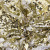 Трикотажное полотно, Сетка с пайетками, шир.130 см, #315, цв.-белый/золото - купить в Волжском. Цена 693.39 руб.