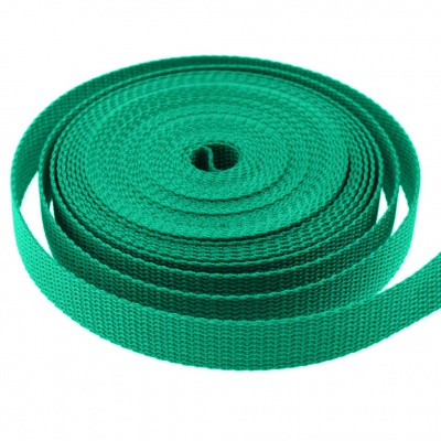 Стропа текстильная, шир. 25 мм (в нам. 50+/-1 ярд), цвет яр.зелёный - купить в Волжском. Цена: 397.52 руб.