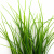 Трава искусственная -3, шт (осока 50 см/8 см  5 листов)				 - купить в Волжском. Цена: 124.17 руб.