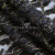 Кружевное полотно XD LACE 1-4, 80 гр/м2, шир.150см, цвет чёрный - купить в Волжском. Цена 245.94 руб.